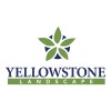 Yellowstone Landscape