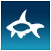 Koniag Tech and Infrastructure Solutions LLC