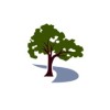 Krause Estate Planning & Elder Law Center