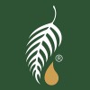 Melaleuca