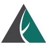 Whitestone Associates, Inc.